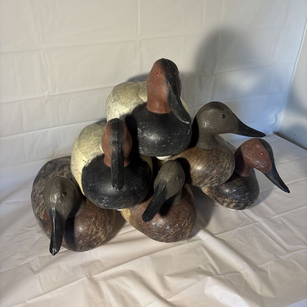 Rare Vintage Herters Millennium 72 Canvasback Decoys Photo Image Decoys Lot